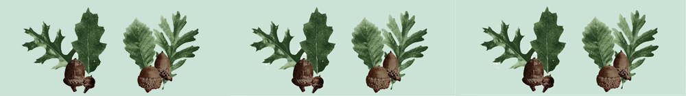 acorn study