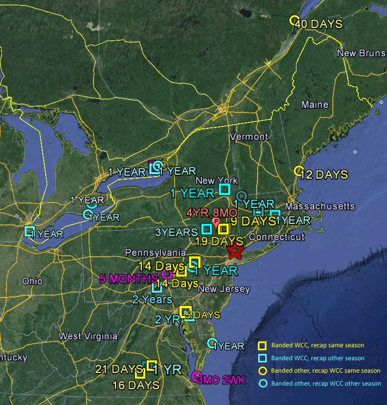 Saw-whet Recapture Data since 2004, T. Battaly and D. Panko