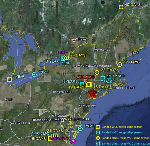 Saw-whet Recapture Data since 2004, T. Battaly and D. Panko