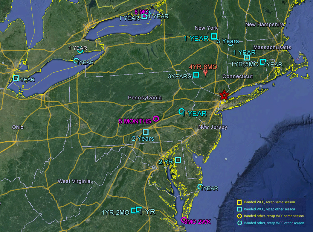 Saw-whet Recapture Data since 2004, T. Battaly and D. Panko