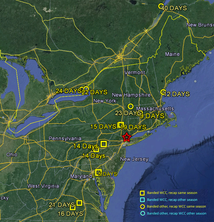 Saw-whet Recapture Data since 2004, T. Battaly and D. Panko