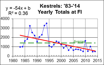 Trend for Kestrels