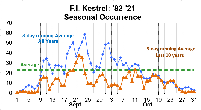 American Kestrel, Seasonal Occurance