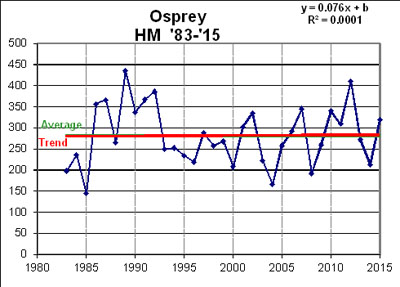 Osprey - Hook Mt