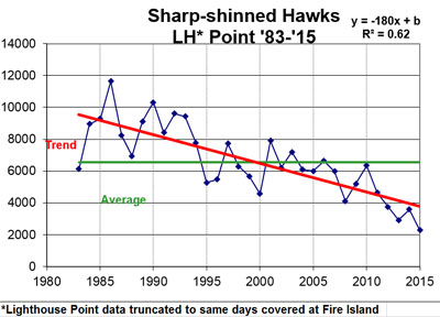 Sharp-shinned Hawks at LH with same coverage as FI