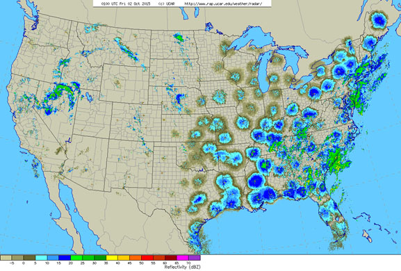 Bird Migration are round circular patterns