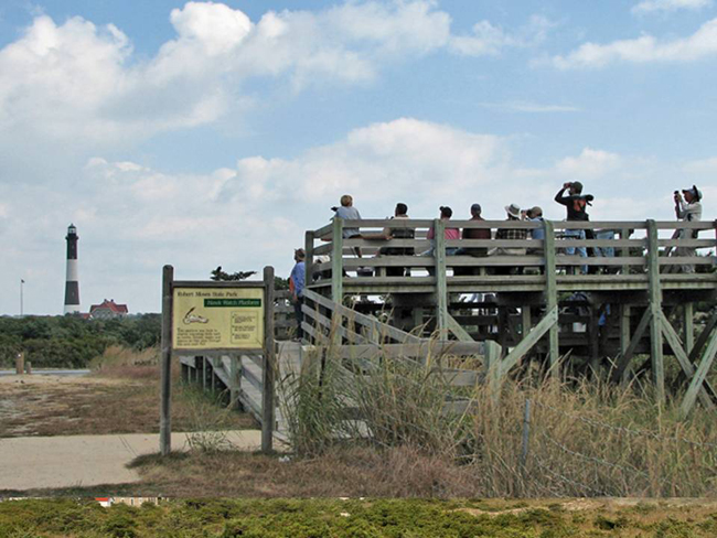 The Fire Island Hawk Watch at Robert Moses State Park, NY