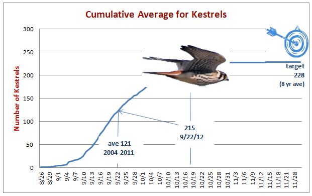 Kestrels seem to be recovering with good numbers this fall.