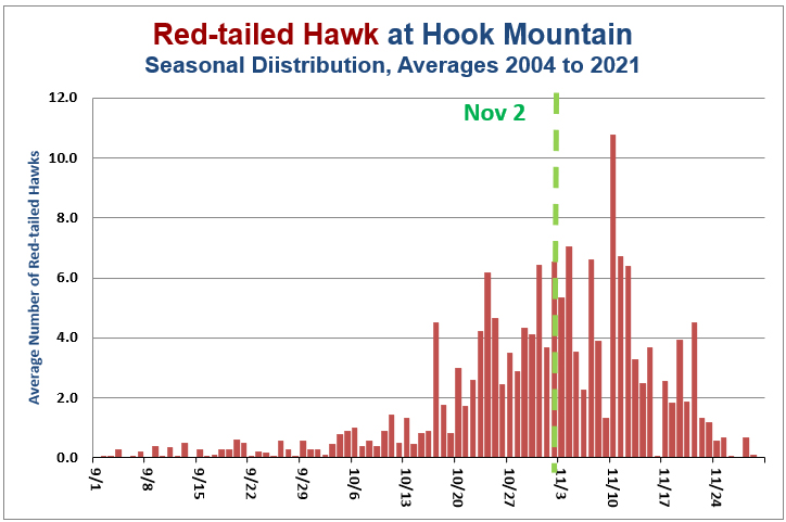 Red-tailed Hawk Season at Hook