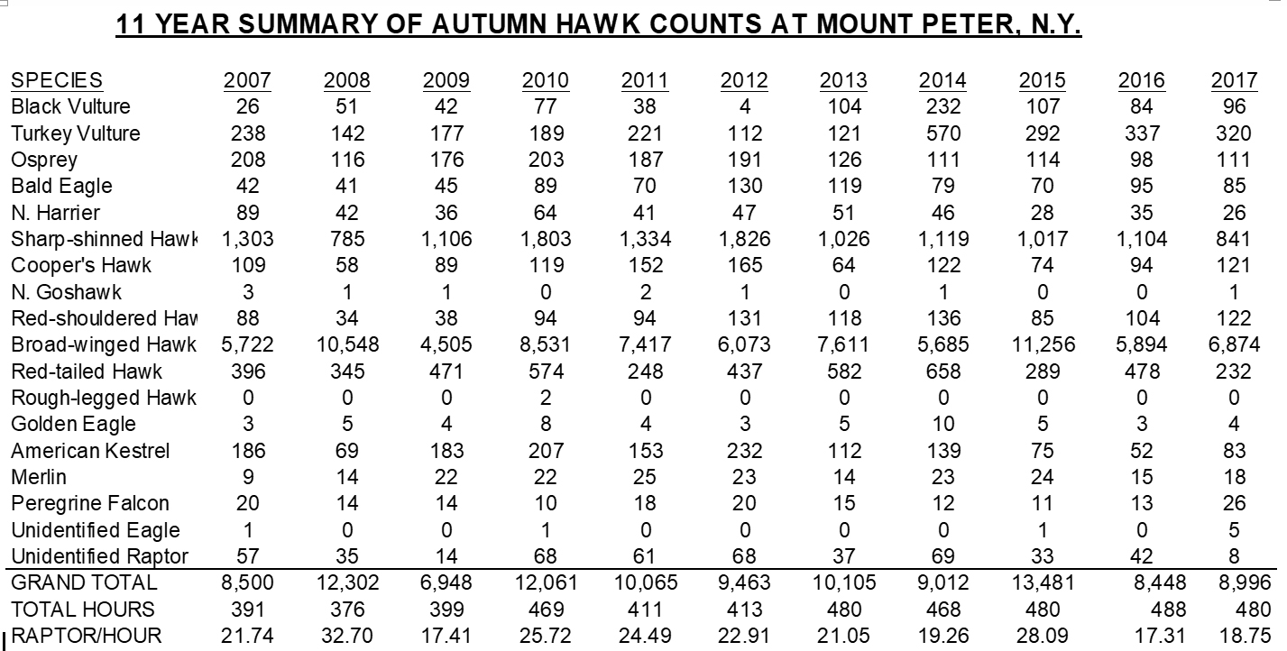 11 Year Summary of Mount Peter Counts