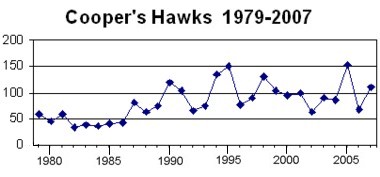 Cooper's Hawk 1979-2007