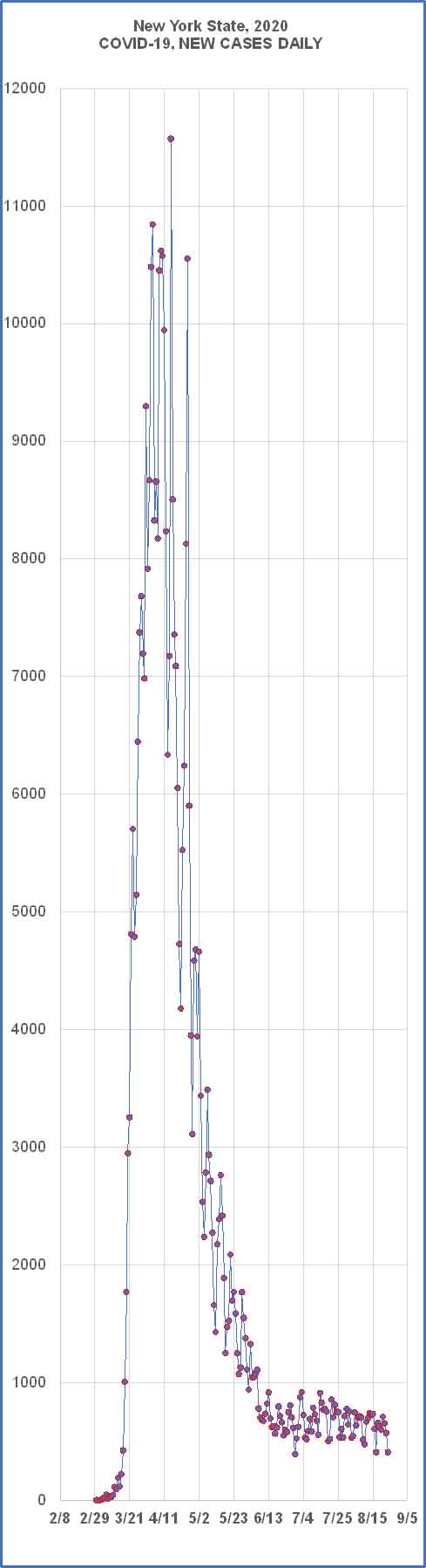 Daily COVID-19 Cases in New York State