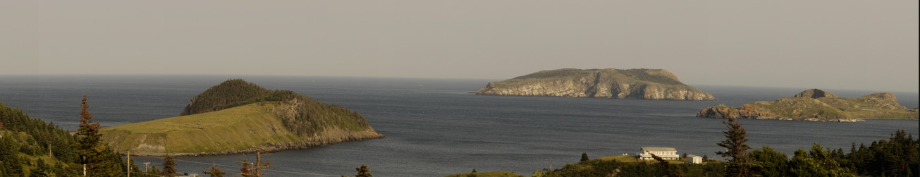 East Coast, Avalon Peninsula, Newfoundland